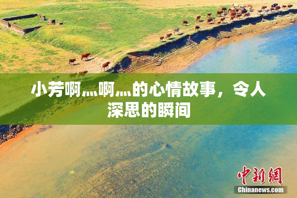 小芳啊灬啊灬的心情故事，令人深思的瞬间