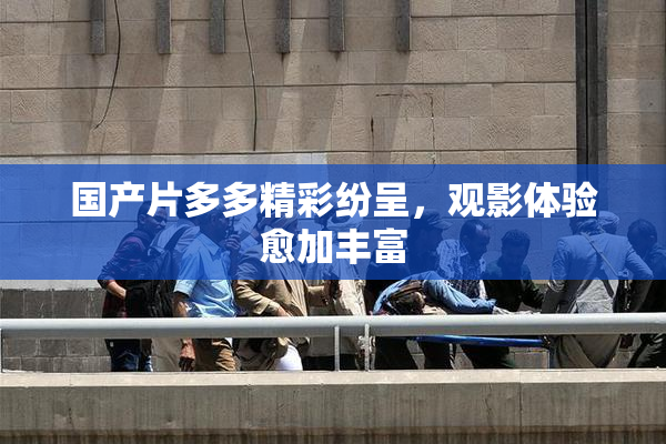 国产片多多精彩纷呈，观影体验愈加丰富