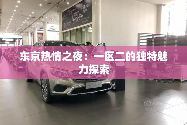 东京热情之夜：一区二的独特魅力探索