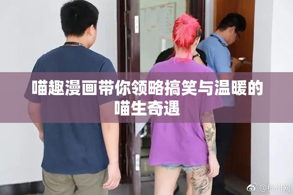 喵趣漫画带你领略搞笑与温暖的喵生奇遇
