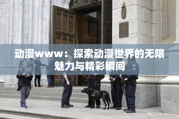动漫www：探索动漫世界的无限魅力与精彩瞬间