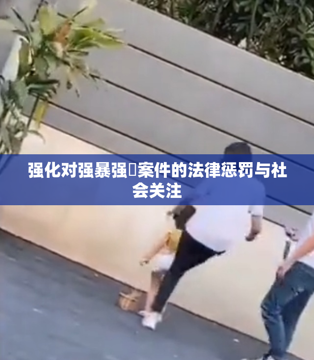 强化对强暴强姦案件的法律惩罚与社会关注