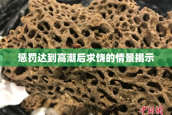 惩罚达到高潮后求饶的情景揭示