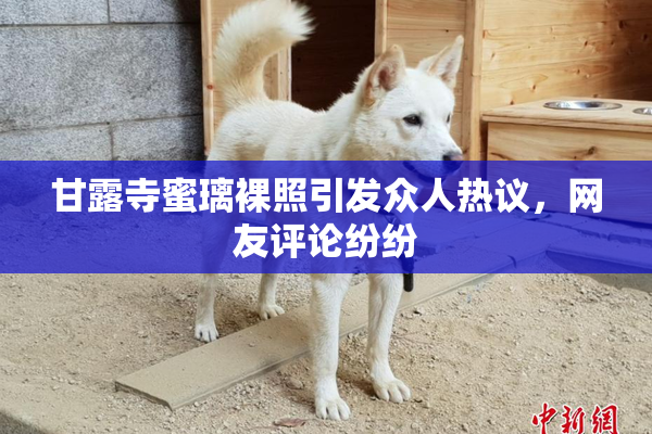 甘露寺蜜璃裸照引发众人热议，网友评论纷纷