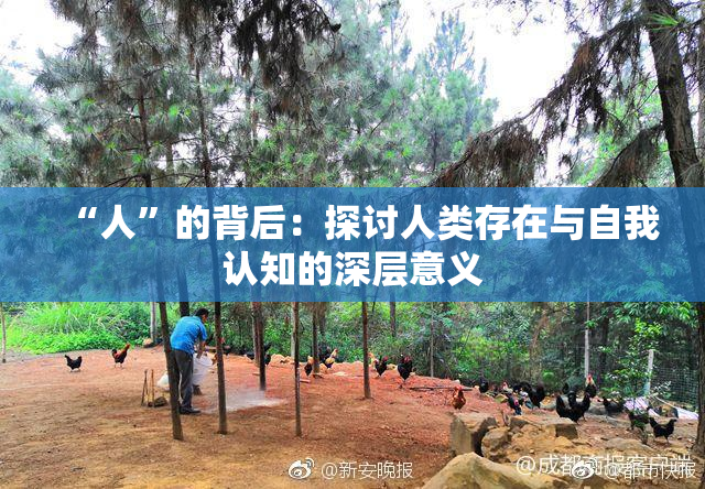 “人”的背后：探讨人类存在与自我认知的深层意义