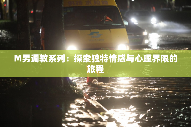 M男调教系列：探索独特情感与心理界限的旅程