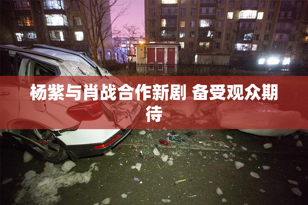 杨紫与肖战合作新剧 备受观众期待