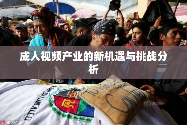 成人视频产业的新机遇与挑战分析