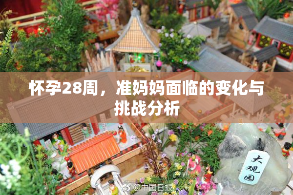 怀孕28周，准妈妈面临的变化与挑战分析