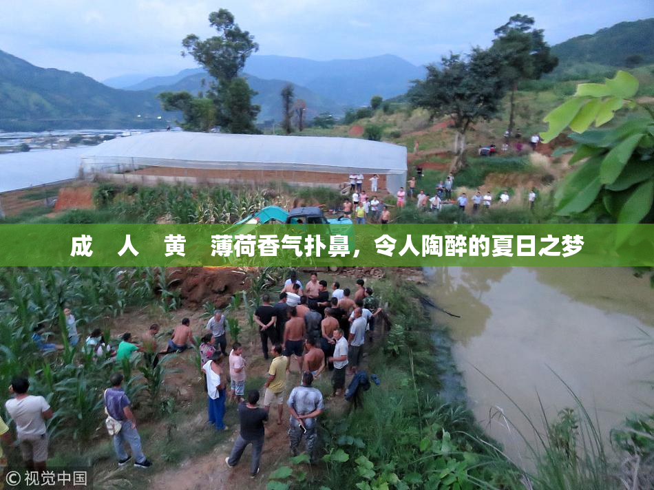 成　人　黄　薄荷香气扑鼻，令人陶醉的夏日之梦