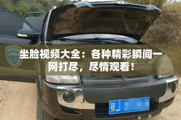坐脸视频大全：各种精彩瞬间一网打尽，尽情观看！