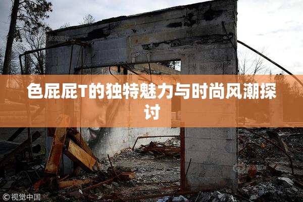 色屁屁T的独特魅力与时尚风潮探讨