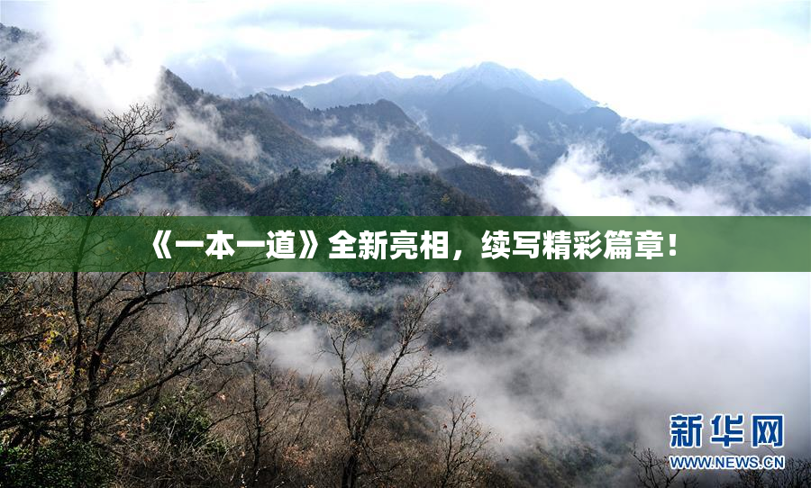 《一本一道》全新亮相，续写精彩篇章！