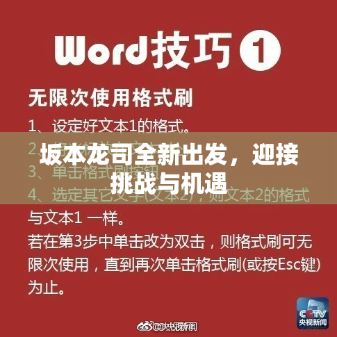 坂本龙司全新出发，迎接挑战与机遇