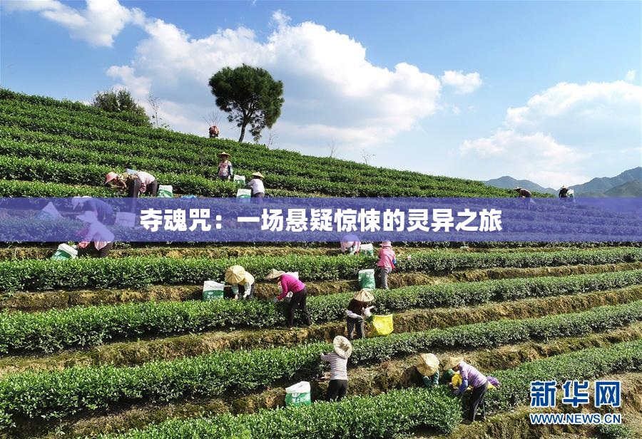 夺魂咒：一场悬疑惊悚的灵异之旅
