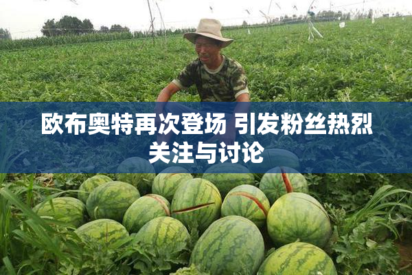 欧布奥特再次登场 引发粉丝热烈关注与讨论