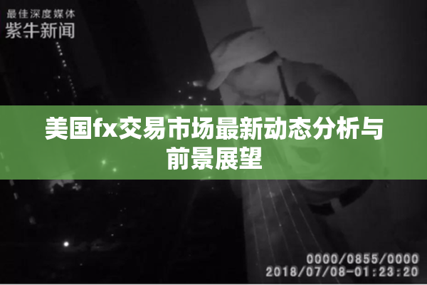 美国fx交易市场最新动态分析与前景展望