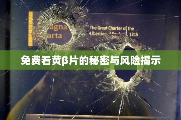 免费看黄β片的秘密与风险揭示