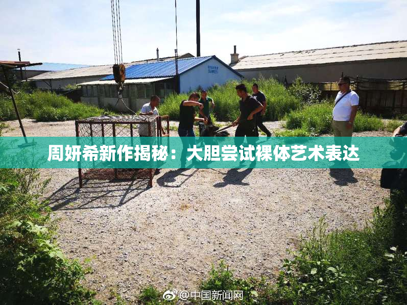 周妍希新作揭秘：大胆尝试裸体艺术表达