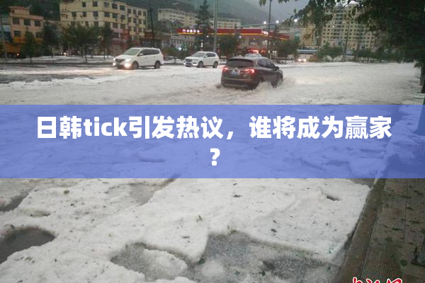 日韩tick引发热议，谁将成为赢家？