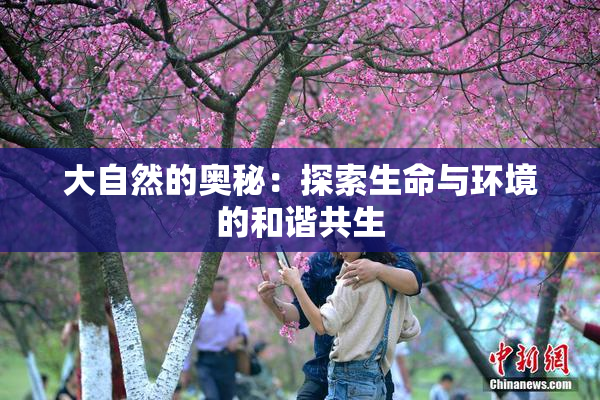 大自然的奥秘：探索生命与环境的和谐共生