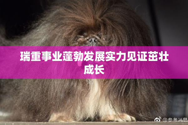 瑞重事业蓬勃发展实力见证茁壮成长