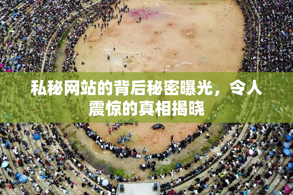 私秘网站的背后秘密曝光，令人震惊的真相揭晓