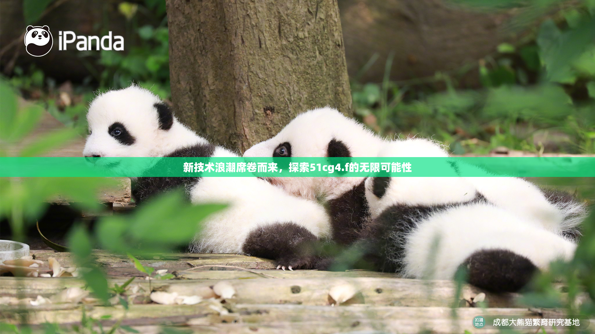 新技术浪潮席卷而来，探索51cg4.f的无限可能性