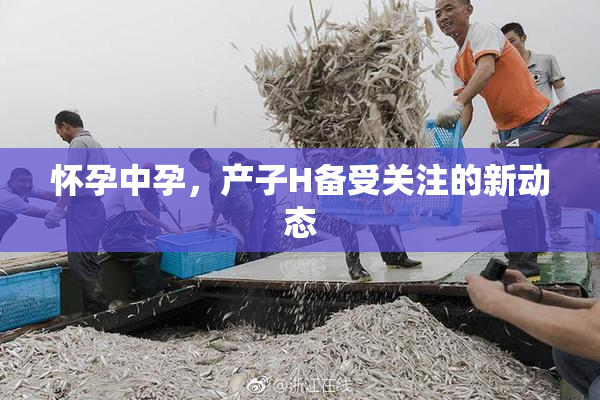怀孕中孕，产子H备受关注的新动态