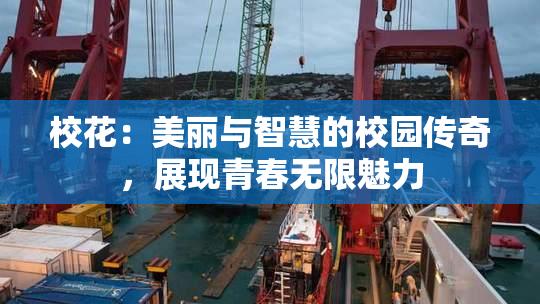 校花：美丽与智慧的校园传奇，展现青春无限魅力