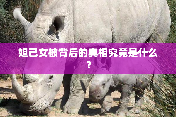 妲己女被背后的真相究竟是什么？