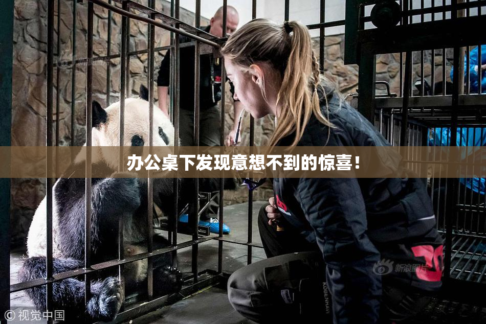 办公桌下发现意想不到的惊喜！