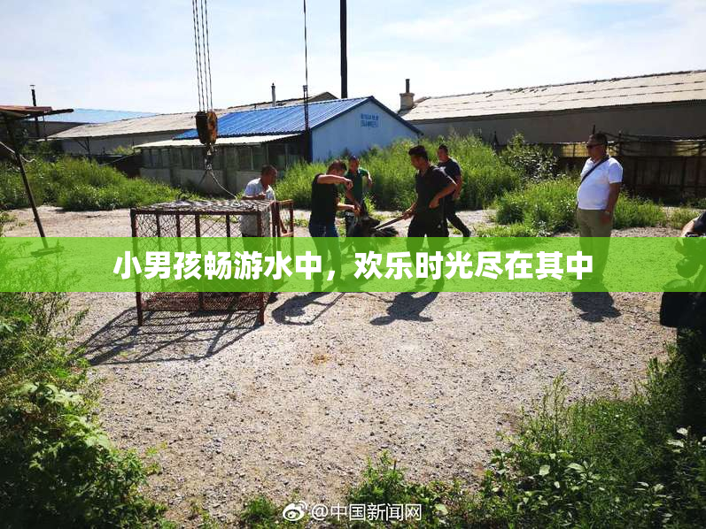 小男孩畅游水中，欢乐时光尽在其中
