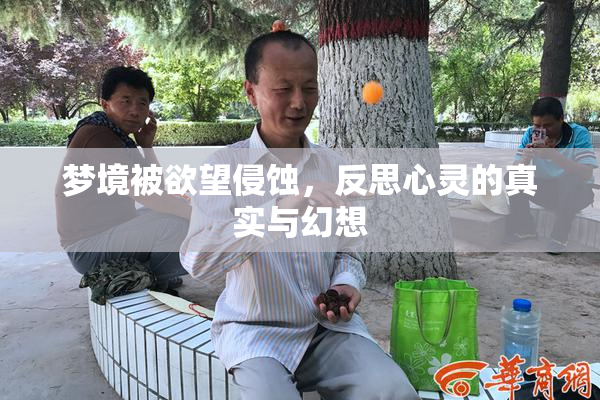 梦境被欲望侵蚀，反思心灵的真实与幻想