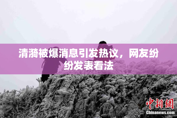 清漪被爆消息引发热议，网友纷纷发表看法