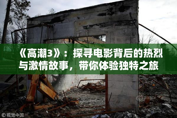 《高潮3》：探寻电影背后的热烈与激情故事，带你体验独特之旅。