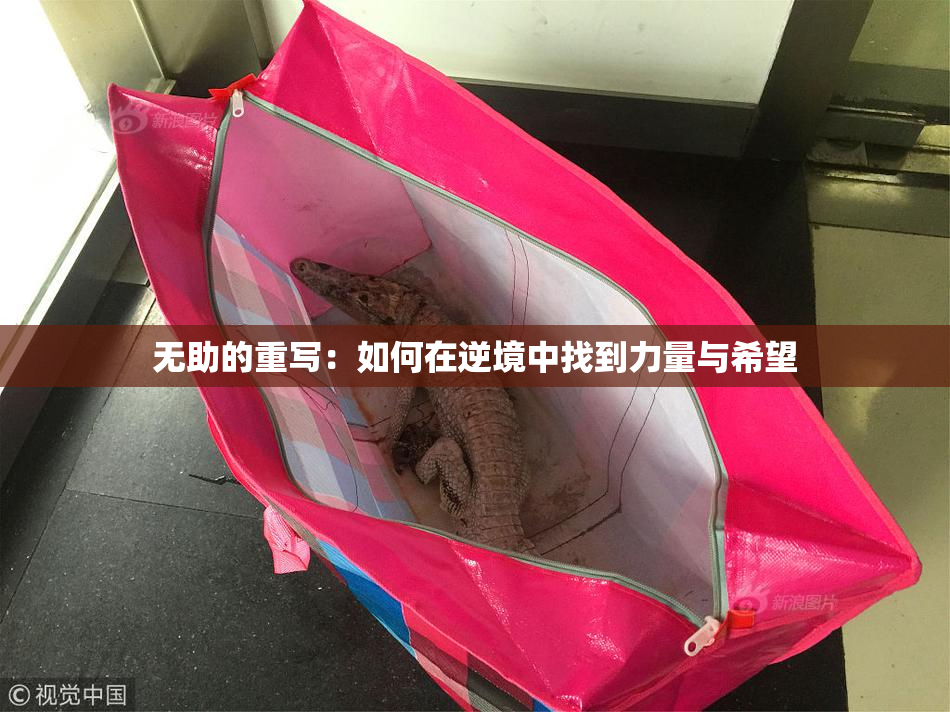 无助的重写：如何在逆境中找到力量与希望