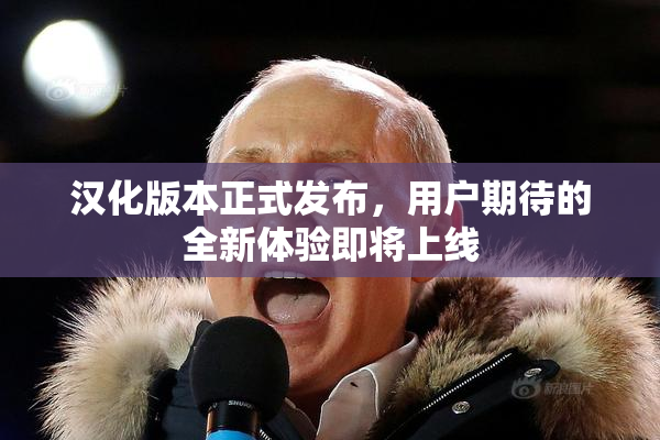 汉化版本正式发布，用户期待的全新体验即将上线