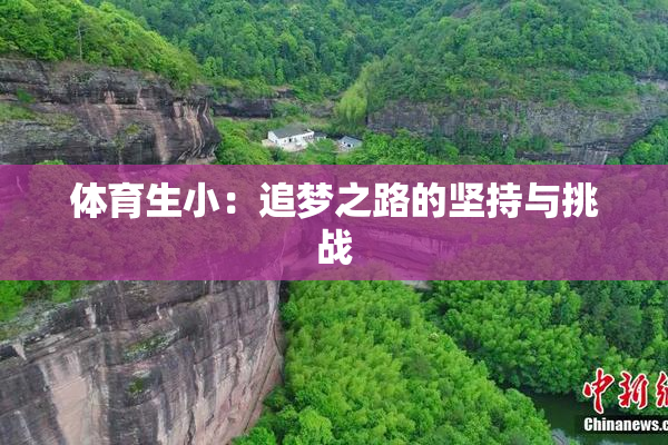 体育生小：追梦之路的坚持与挑战
