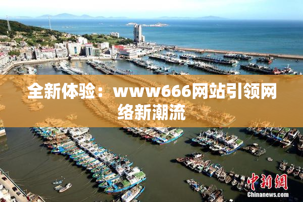 全新体验：www666网站引领网络新潮流