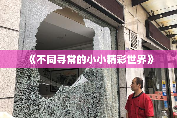 《不同寻常的小小精彩世界》