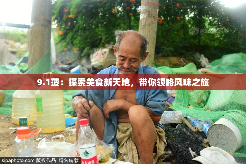 9.1菠：探索美食新天地，带你领略风味之旅