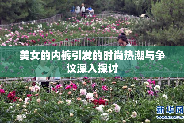 美女的内裤引发的时尚热潮与争议深入探讨