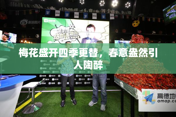 梅花盛开四季更替，春意盎然引人陶醉