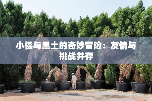小樱与黑土的奇妙冒险：友情与挑战并存