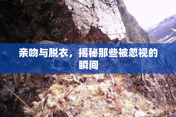 亲吻与脱衣，揭秘那些被忽视的瞬间