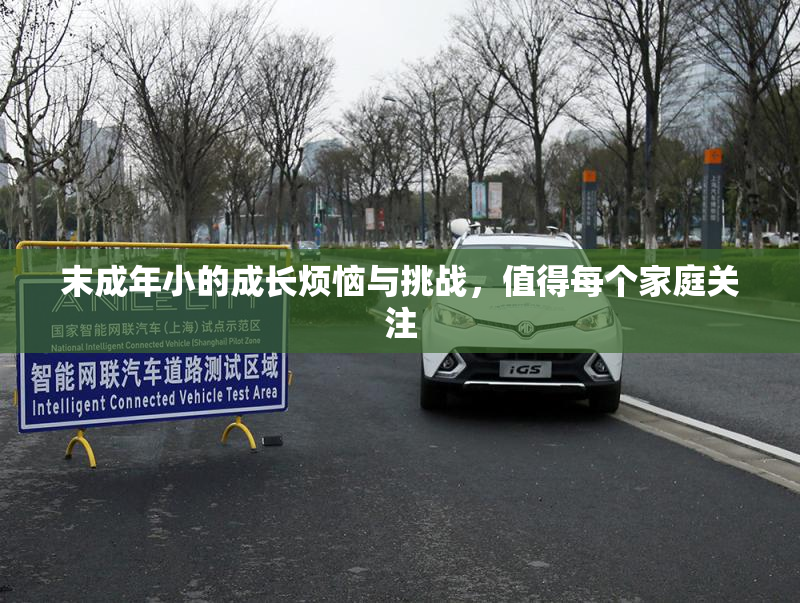 末成年小的成长烦恼与挑战，值得每个家庭关注