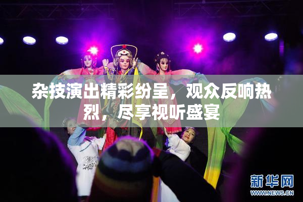 杂技演出精彩纷呈，观众反响热烈，尽享视听盛宴