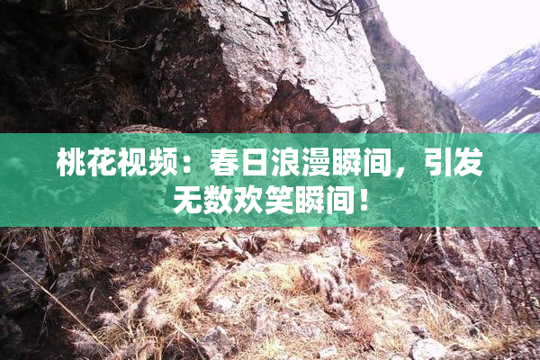 桃花视频：春日浪漫瞬间，引发无数欢笑瞬间！