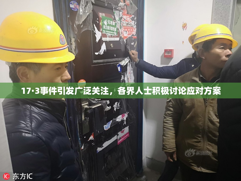17·3事件引发广泛关注，各界人士积极讨论应对方案
